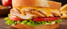 Chicken Cheese Sandwich