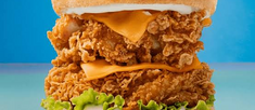 Zinger Fish Plate